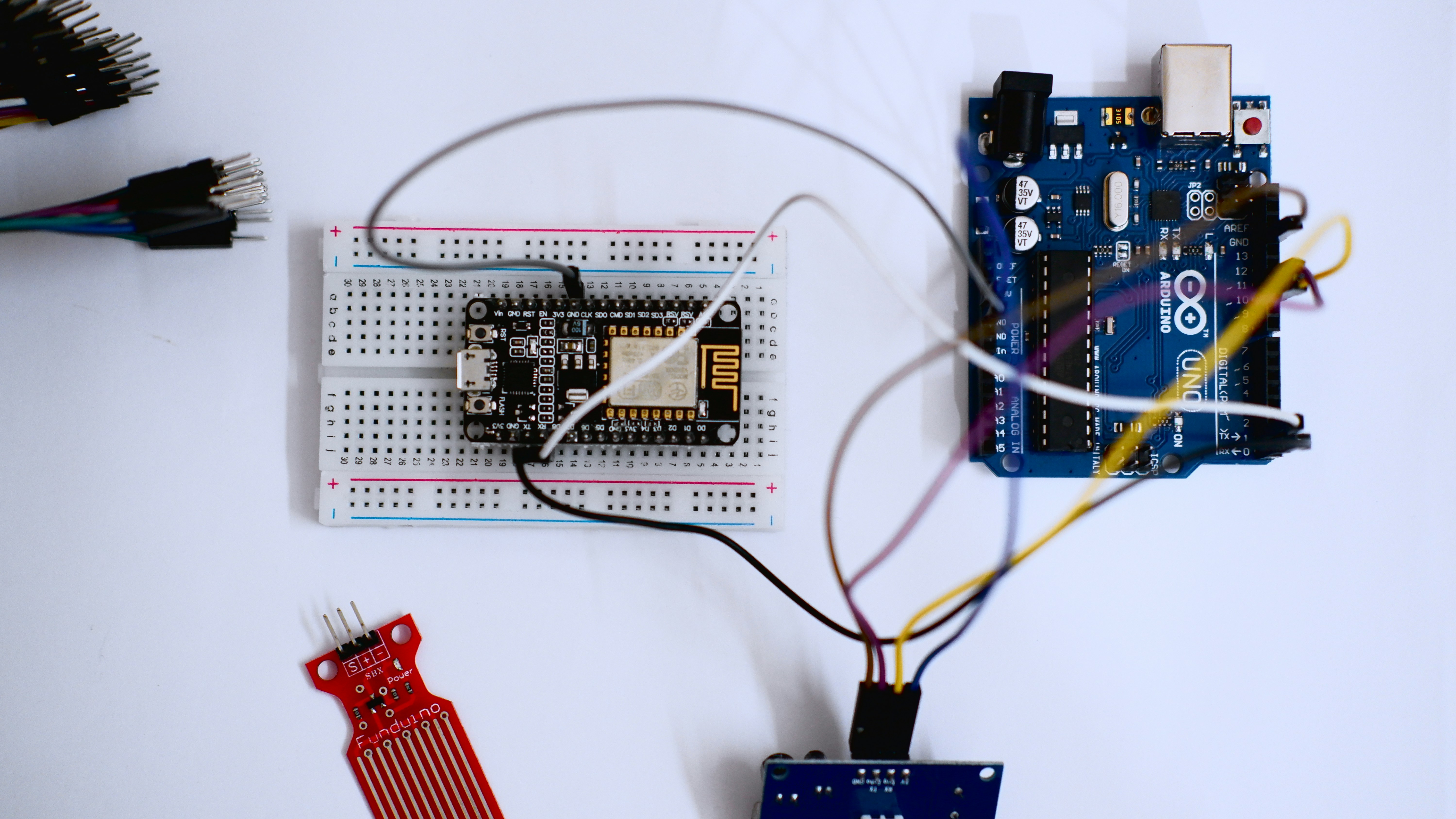 IoT